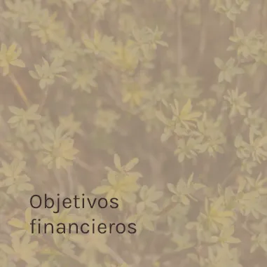 Objetivos financieros