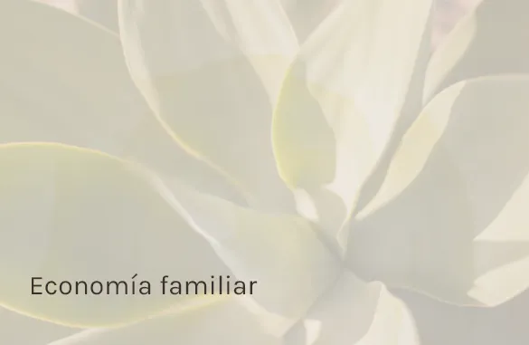 Economía familiar