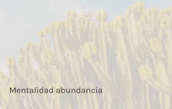 Mentalidad abundancia